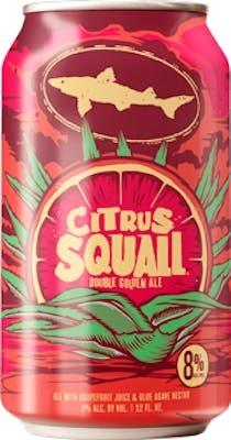 Dogfish Head - Citrus Squall Golden Ale (6 pack 12oz cans) (6 pack 12oz cans)