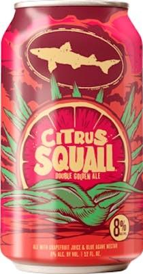 Dogfish Head - Citrus Squall Golden Ale (6 pack 12oz cans) (6 pack 12oz cans)