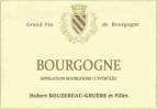 Domaine Hubert Bouzereau-Gruere - Bourgogne Rouge 2021 (750)