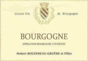 Domaine Hubert Bouzereau-Gruere - Bourgogne Rouge 2021 (750ml) (750ml)